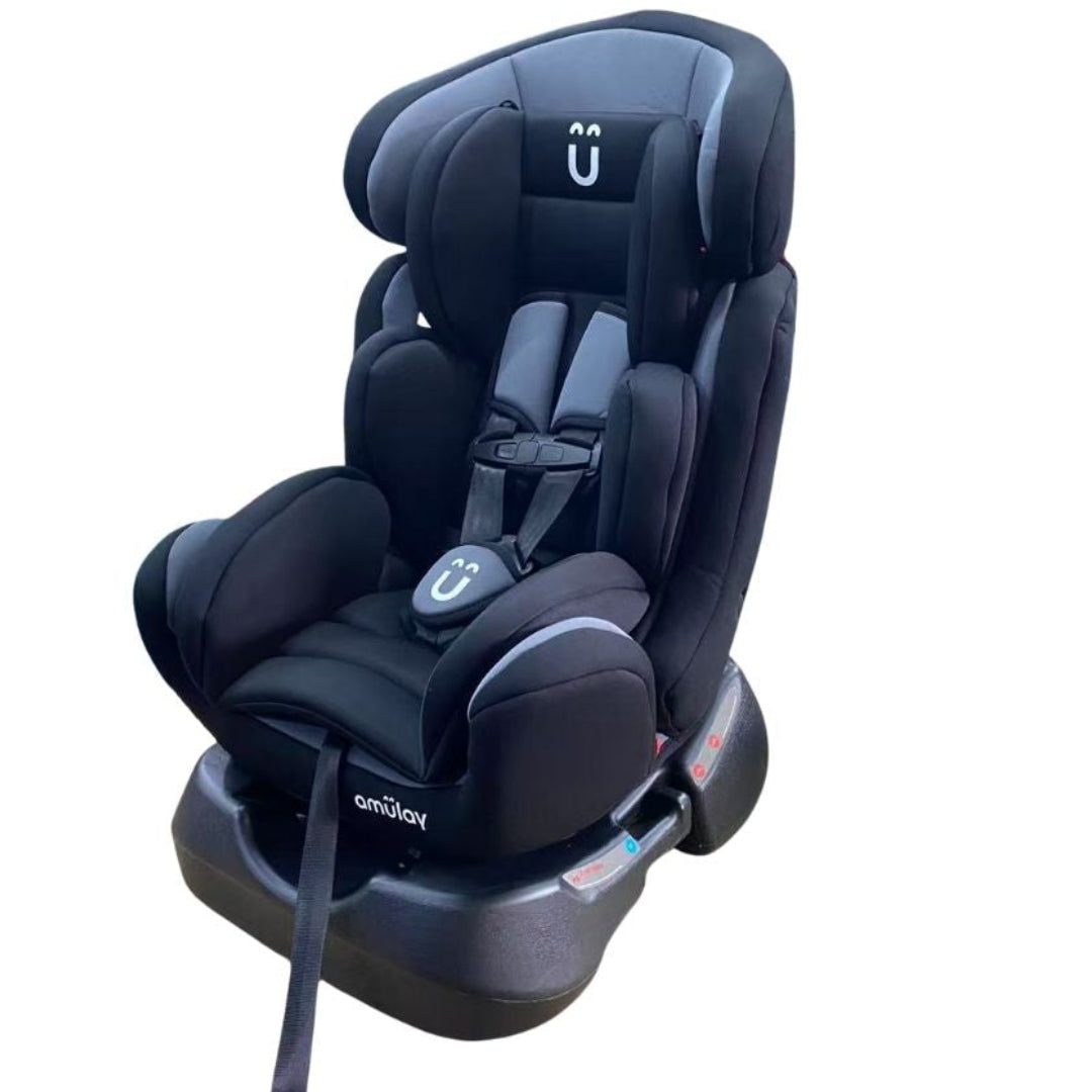 Autoasiento 3 en 1 0-25kg