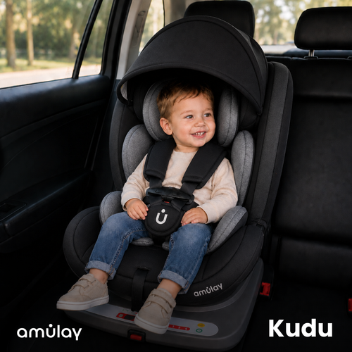 Autoasiento Kudu - 360º Isofix 0-36Kg