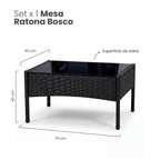 Set de Living Exterior BOSCO - Ratán